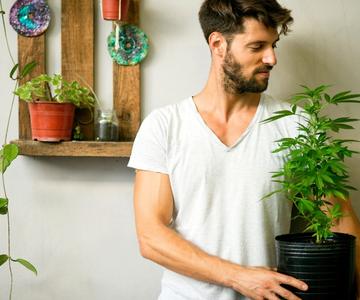 5 Razones por las que deberías considerar cultivar tu propio cannabis