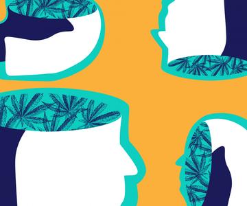 CBD vs. THC: ¿Cuál es la diferencia?