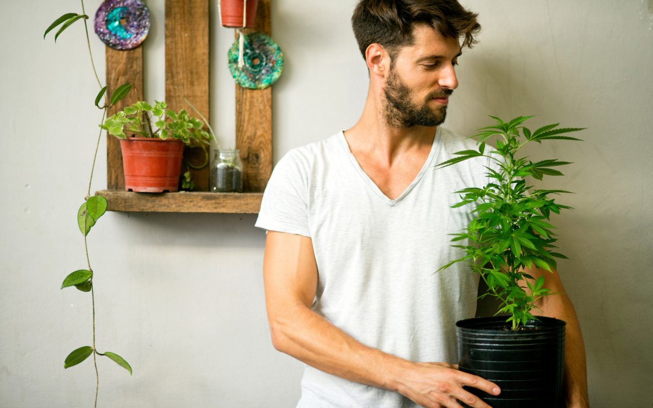 5 Razones por las que deberías considerar cultivar tu propio cannabis