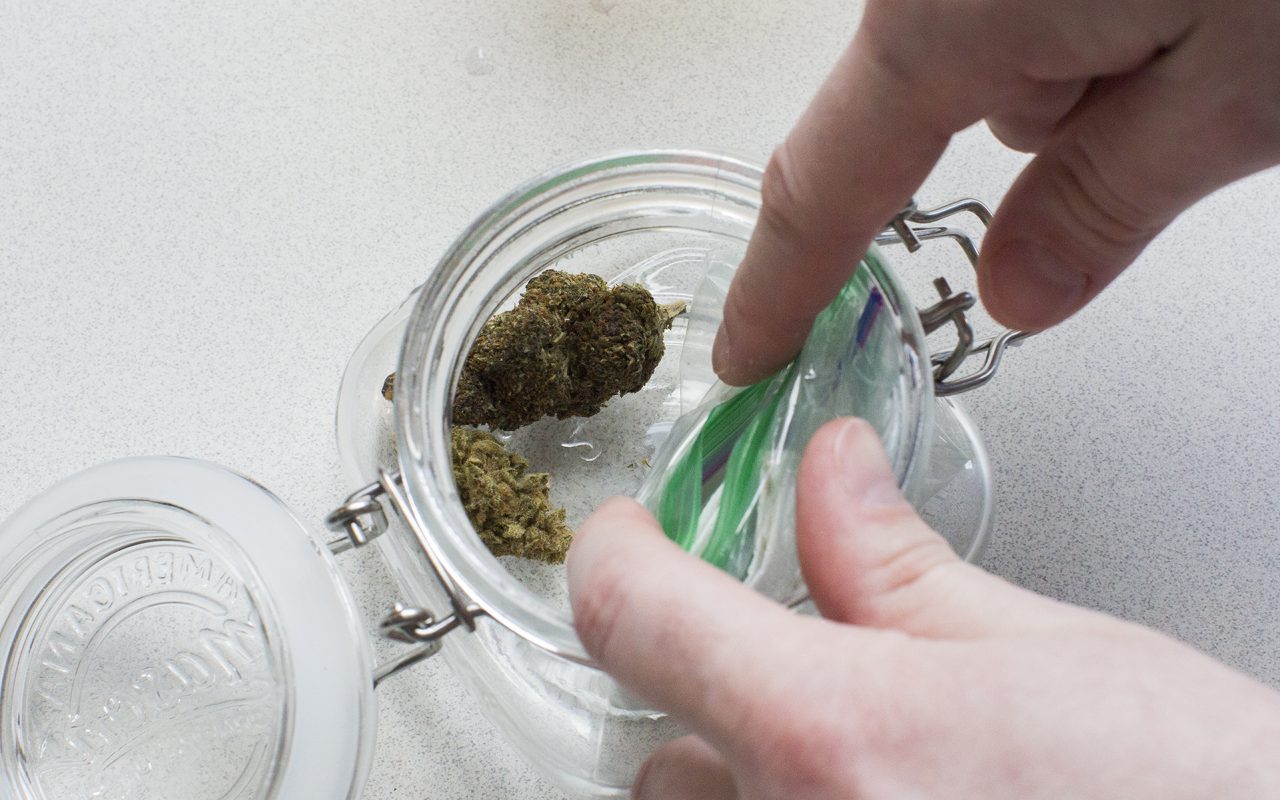 Cómo rehidratar los brotes secos de cannabis