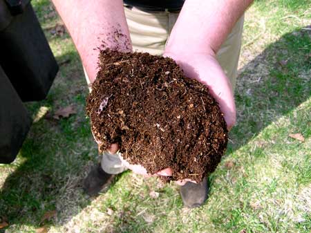 Rich composted soil is great for growing cannabis