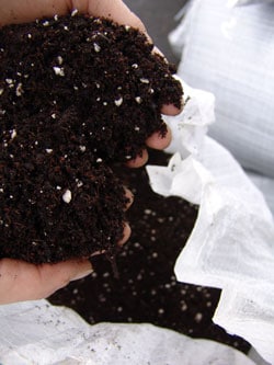 Composted super soil is rich with all the stuff your cannabis plants love