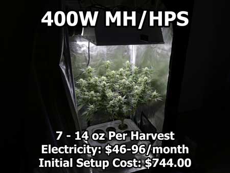 A 400 watt High Pressure Sodium/Metal Halide light growing some cannabis