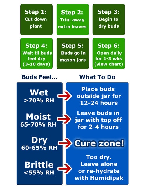 How to cure marijuana overview quick tutorial - This is a cheat sheet harvest / drying / curing diagram