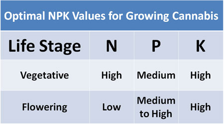 Chart diagram showing the optimal NPK nutrient ratios for growing cannabis or medical marijuana
