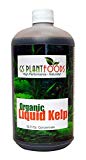 Organic Liquid Sea Kelp Extract can help cannabis plants recover from heat stress, extreme environmental conditions, and may even help plants be protected for future heat waves