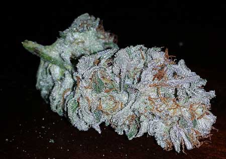 A beautiful cannabis nug