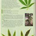 Information about phosphorus and your marijuana plant