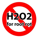 Don't use H2O2 for cannabis root rot - it's temporarily effective at best