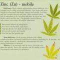 This info-graphic contains more information about the importance of zinc and your marijuana grow