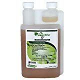 Get Essentria IC3 insecticide on Amazon.com - this can be a tool in the fight against broad mites or 