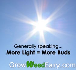 When growing cannabis indoors, more light will generally give you bigger yields