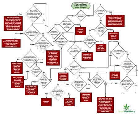 7-Pasos para remediar el 99% de los problemas de cultivo de cannabis