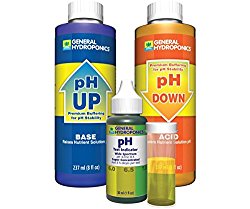 Get a bottle of PH Up and Down from Amazon.com