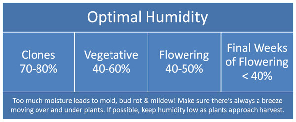 Optimal cannabis humidity levels chart