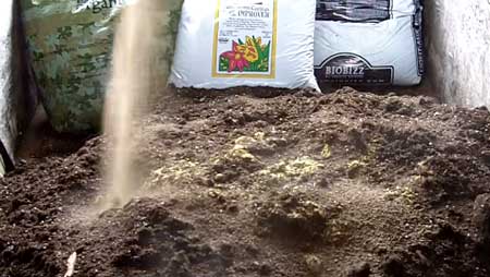 Sprinkle Azomite over entire pile of cannabis super soil