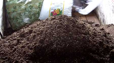 What cannabis super soil pile looks like after adding second bag of Biobizz Light-Mix soil