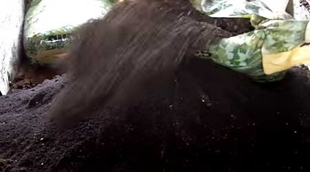 Add one bag of Roots Organic soil to cannabis super soil pile