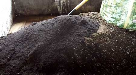 What pile looks like after adding 2nd bag of earthworm castings