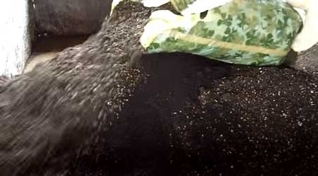 Add last bag of Roots Organic soil to pile