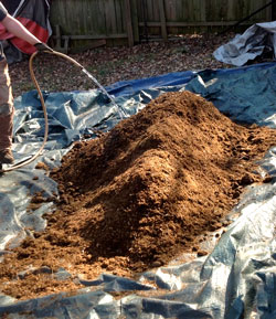 Add water to cannabis super soil pile to start the microbial processes