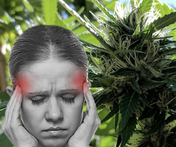 Aceite de CBD para tratar las migrañas