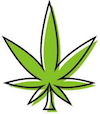 Plantar marihuana